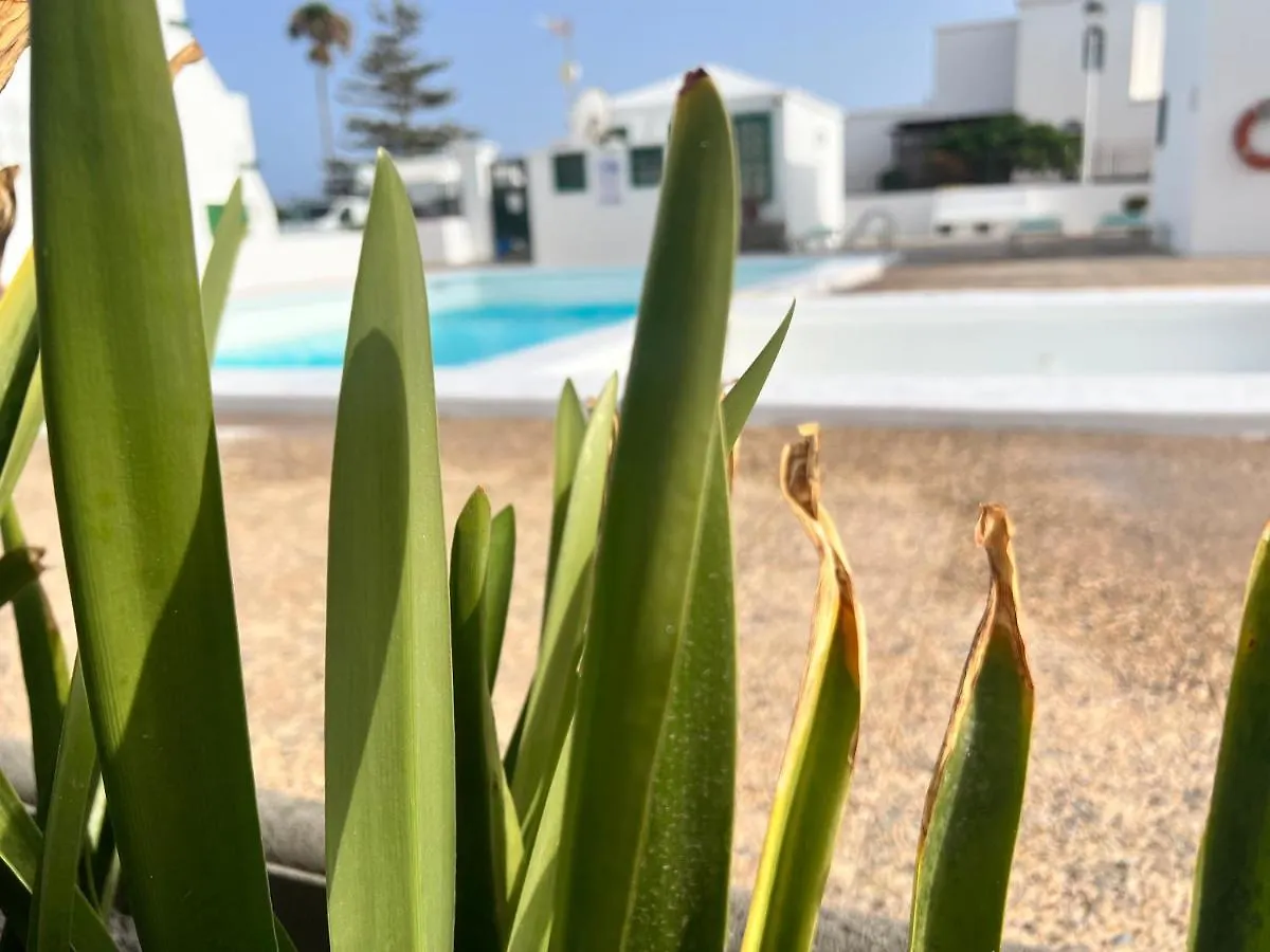 Las Mimosas Beach Sol Пуэрто дель Кармен Апартаменты